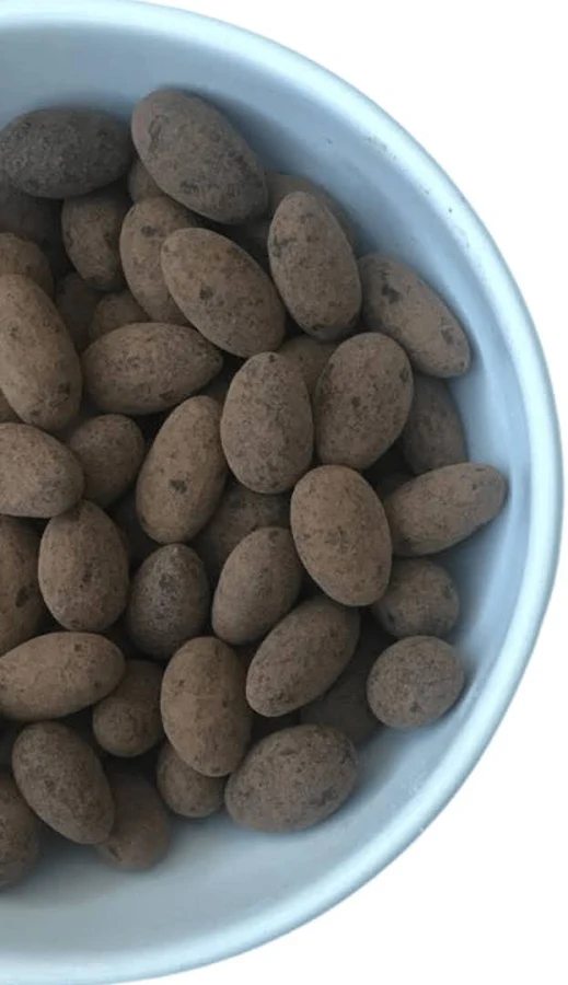 AMÊNDOA DRAGEADO NO CHOCOLATE 70% CACAU 100g